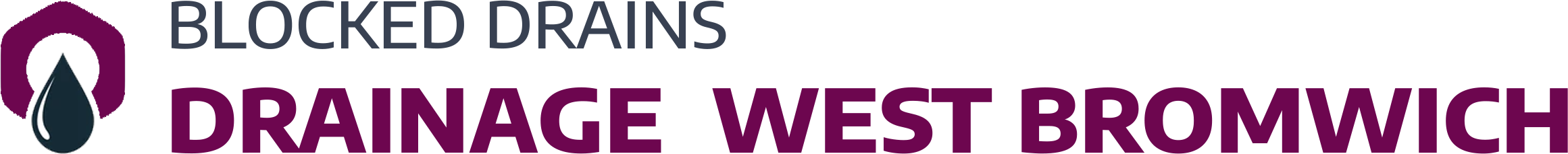 website logo